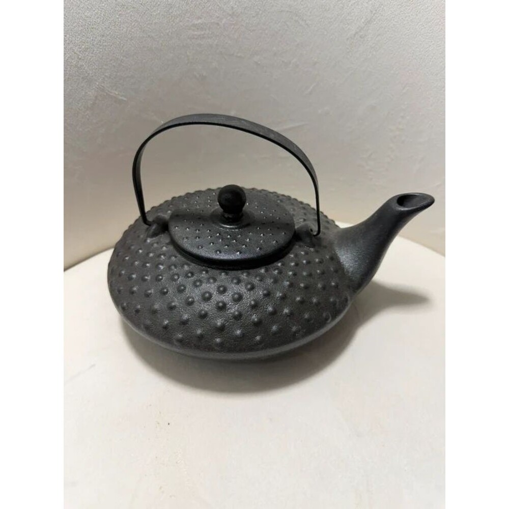 Boston Warehouse Stoneware Hobnail Teapot Cast Iron Look Black Infuser